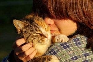 Die Kosten gibt die Katze in Form von Liebe und Zärtlichkeit dem Menschen zurück