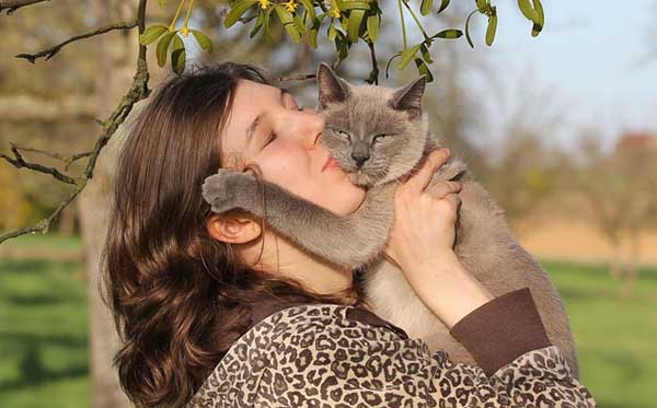 Das beste Beruhigungsmittel für Katzen ist der vertraute Mensch
