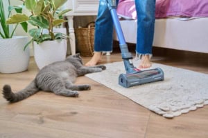 Staubsauger für Tierhaare Staubsauger für Tierhaare (depositphotos.com)